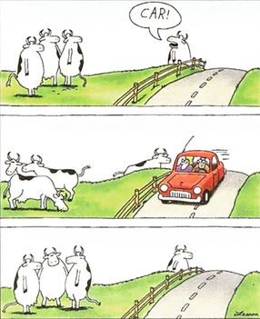 A tehenek és az autó (Gary Larson)