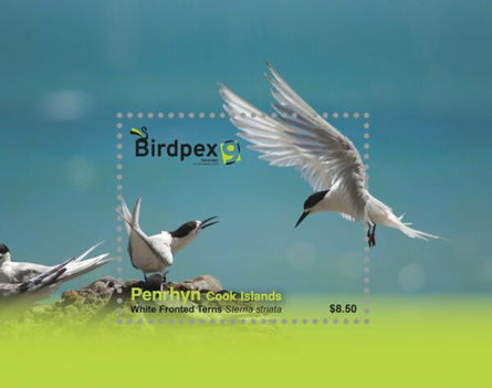 Birdpex 9