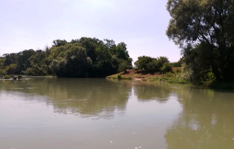 Mosoni-Duna folyó, jobb parti tisztás a Háromtölgy kápolna közelében, Mosonmagyaróvár 2019. július 24.-én