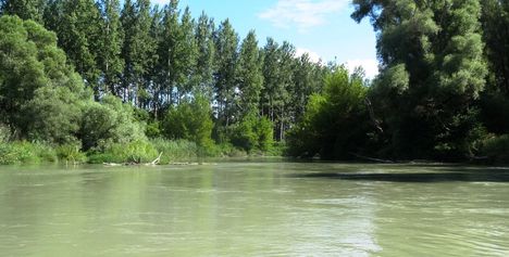 Szürke Duna-ág a Szigetközi hullámtéri vízpótlórendszerben, Lipót 2016. július 15.-én 1