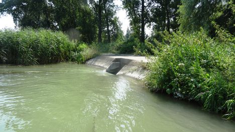 Tóthkalapi-ág vízbeeresztő műtárgya a Tejfalui mellékágrendszerben, Dunakiliti 2016. július 13.-án 2