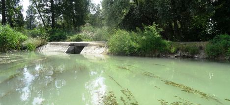 Tóthkalapi-ág vízbeeresztő műtárgya a Tejfalui mellékágrendszerben, Dunakiliti 2016. július 13.-án 3