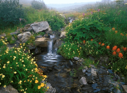 Virágok a pataknál-gif