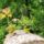 Elniakaras_2181785_5948_t