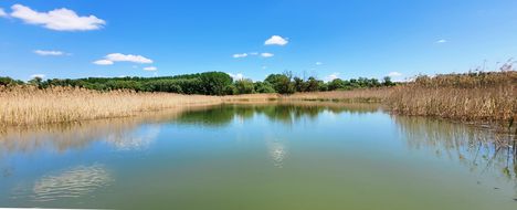 Szemet gyönyörködtető az Öntés tó víztükre, Szigetköz 2023.05.09-én