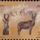 Africanantelope_2182302_2853_t