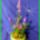 Dscf9989_2182925_6151_t