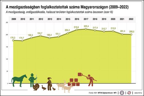 Mezőgazdasági foglalkoztatás
