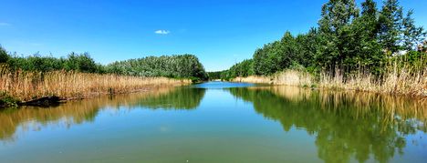 Vizeink szépségei, a Pókmacskási belső tó 2023.05.09 -én