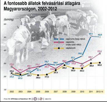 Állatok felvásárlási ára