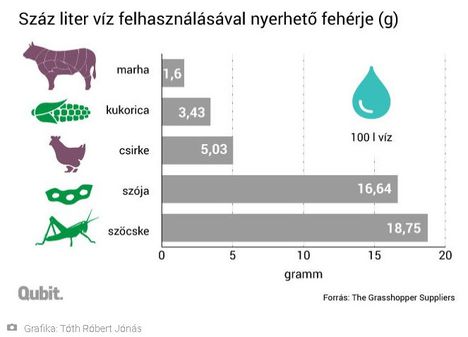 Fehérje előállítás