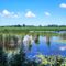 Morotva tó a Holt-Duna Lipóton, 2023.07.09-én