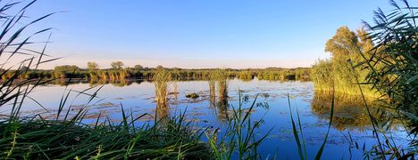 A Lipóti Holt-Duna fokozottan védett természetvédelmi terület