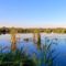 A Lipóti Holt-Duna fokozottan védett természetvédelmi terület