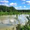 Szigetköz, a cikolaszigeti Nagy-Jakab szigettelepített erdő vízborítása