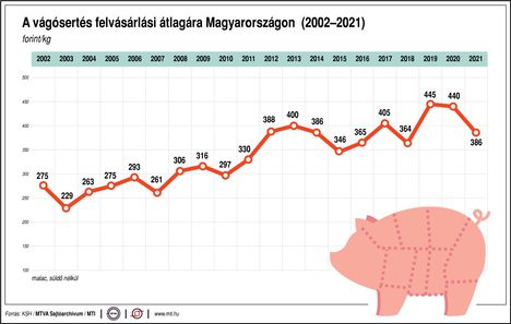 Vágósertés ár