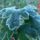 Ilyen_volt_a_reggel_2023_oktober_17en-001_2185969_3377_t