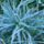 Ilyen_volt_a_reggel_2023_oktober_17en-002_2185970_8734_t