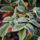 Ilyen_volt_a_reggel_2023_oktober_17en-003_2185971_4457_t