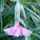 Ilyen_volt_a_reggel_2023_oktober_17en_2185968_4608_t