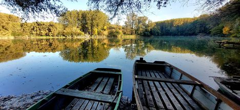 Nyugalom a Gombócosi Duna-ágnál, Lipót 2023.10.13 -án