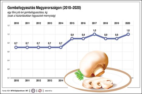 Gombafogyasztás