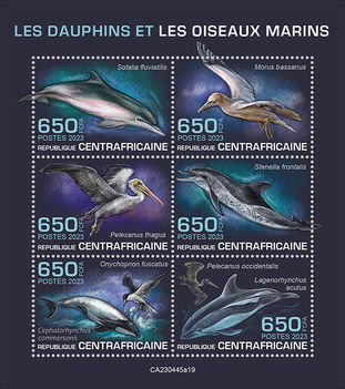 Delfinek és tengeri madarak