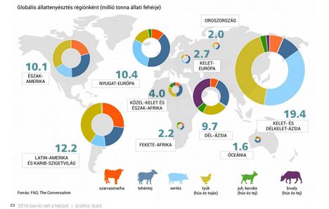 Globális állattenyésztés