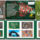 Land_art_2024_2188383_6042_t