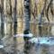 Nagyvízi vízborítás a Gyalapi rétre vezető rámpa környezetében