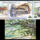 Taiping_2188787_7085_t