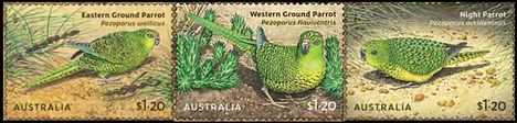 Ausztrál földi papagájok