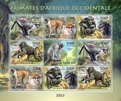 Nyugat-afrikai főemlősök