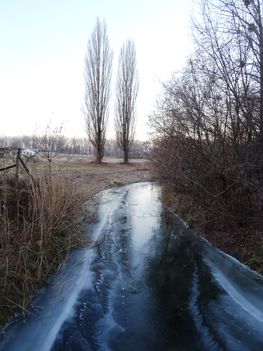 Befagyott a Nováki csatorna a Püski község külterületén lévő Salamon erdő melletti közúti hídnál, 2016 január 06  1