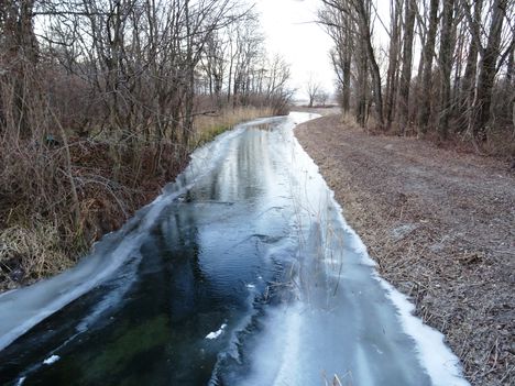 Befagyott a Nováki csatorna a Püski község külterületén lévő Salamon erdő melletti közúti hídnál, 2016 január 06  2