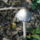 Dscn8259_2108061_3872_t