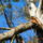 Dscn8292_2108067_1572_t