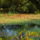 Dscn8311_2108069_4267_t