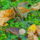 Dscn8344_2108073_3682_t