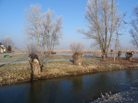 Lipóti Holt-Duna a Hattyú-sziget felől, Lipót 2016. december 31.-én 1