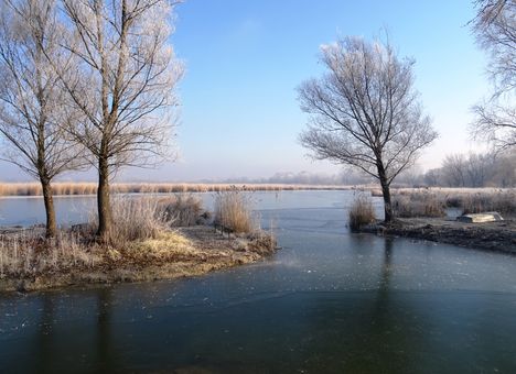 Lipóti Holt-Duna a Hattyú-sziget felől, Lipót 2016. december 31.-én