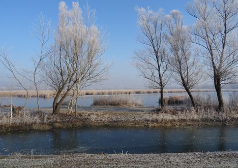 Lipóti Holt-Duna a Hattyú-sziget felől, Lipót 2016. december 31.-én 2