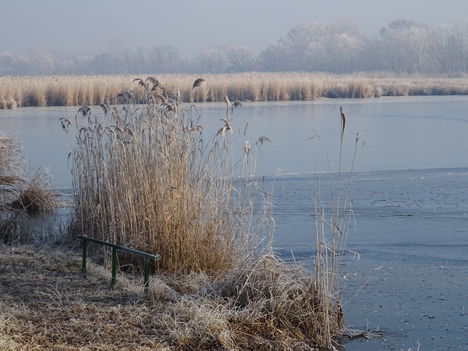 Lipóti Holt-Duna a Hattyú-sziget felől, Lipót 2016. december 31.-én 3