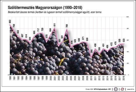 Szőlőtermesztés