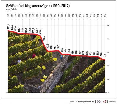 szőlőterület 1990-2017