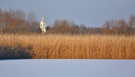 Templomunk a Tőzegről