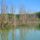 A_revitalizalt_asvanyi_dunaag_asvanyraro__3_2191657_9401_t