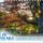 Az_ev_faja_2191766_4980_t