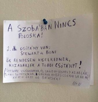 Csótány !