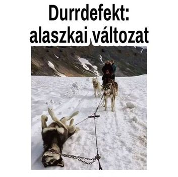 Durrdefekt !